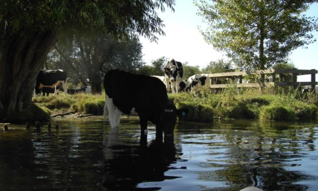 Flatford Mill, Suffolk<input type="hidden" class="is-post-family-safe" value="true">
