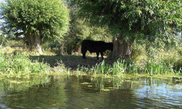 Flatford Mill, Suffolk<input type="hidden" class="is-post-family-safe" value="true">