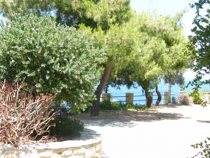 Zante (Zakynthos), Southern Ionian, Greece<input type="hidden" class="is-post-family-safe" value="true">