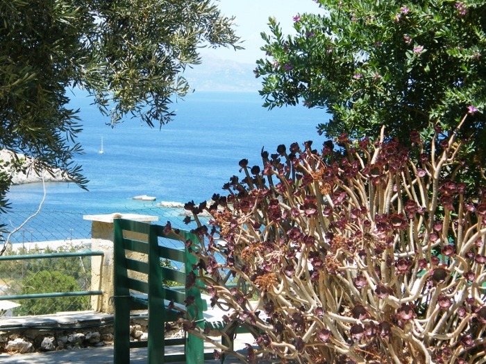 Zante (Zakynthos), Southern Ionian, Greece<input type="hidden" class="is-post-family-safe" value="true">