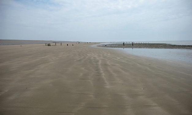 Camber Sands, East Sussex<input type="hidden" class="is-post-family-safe" value="true">
