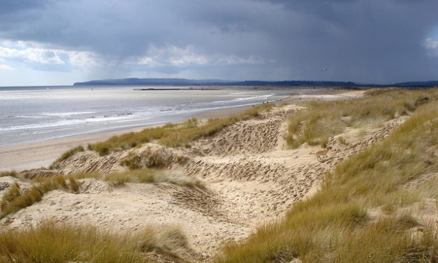 Camber Sands, East Sussex<input type="hidden" class="is-post-family-safe" value="true">