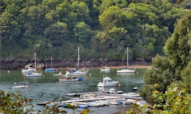 River Yealm at Newton Ferrers, Devon<input type="hidden" class="is-post-family-safe" value="true">