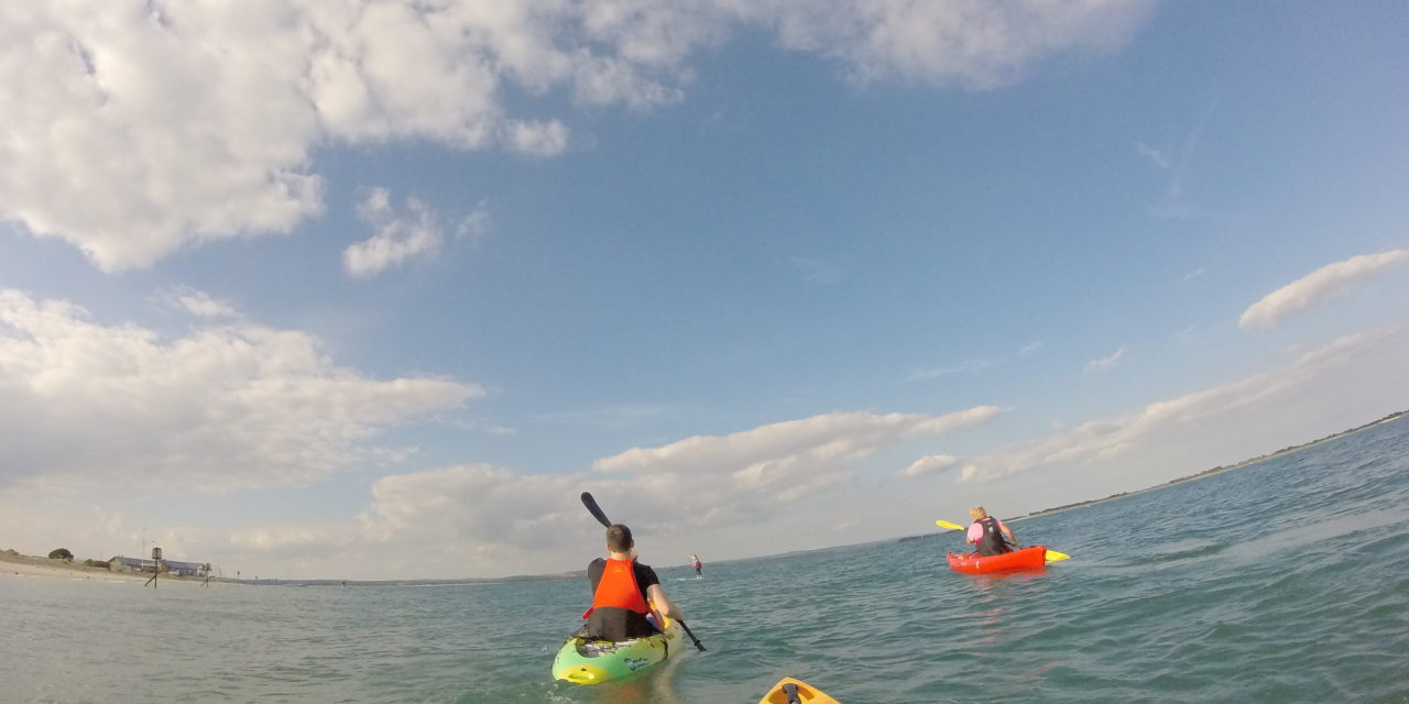 Palm Alpha Buoyancy Aid<input type="hidden" class="is-post-family-safe" value="true">