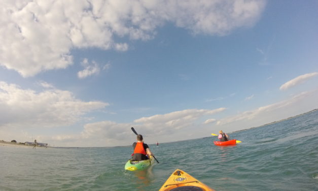 Palm Alpha Buoyancy Aid<input type="hidden" class="is-post-family-safe" value="true">