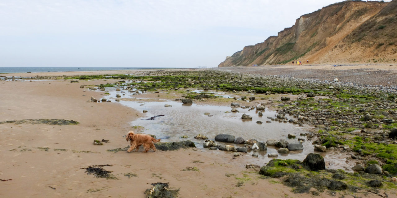 East Runton, East Anglia<input type="hidden" class="is-post-family-safe" value="true">
