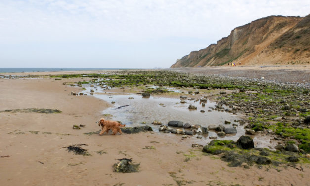 East Runton, East Anglia<input type="hidden" class="is-post-family-safe" value="true">
