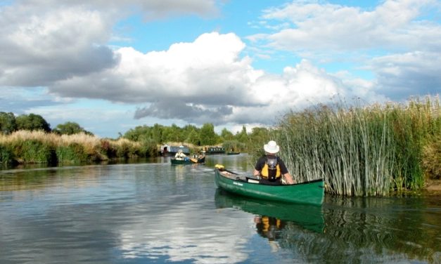 Oxford Circuit Canoe Trail, Oxfordshire<input type="hidden" class="is-post-family-safe" value="true">