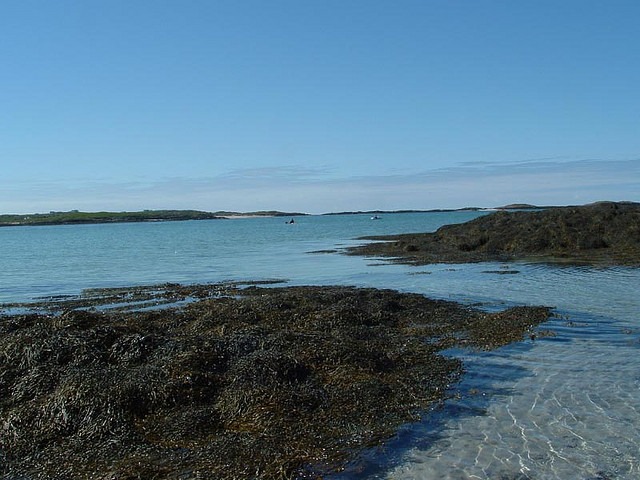 Tiree, Inner Hebrides<input type="hidden" class="is-post-family-safe" value="true">