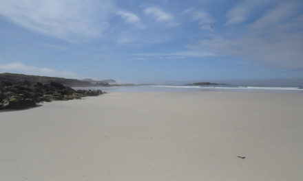 Tiree, Inner Hebrides<input type="hidden" class="is-post-family-safe" value="true">