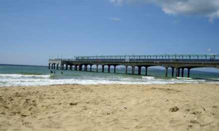 Boscombe, Dorset<input type="hidden" class="is-post-family-safe" value="true">