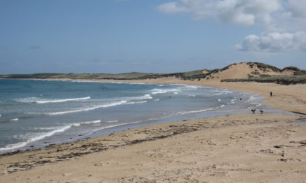 Fraserburgh, Aberdeenshire<input type="hidden" class="is-post-family-safe" value="true">