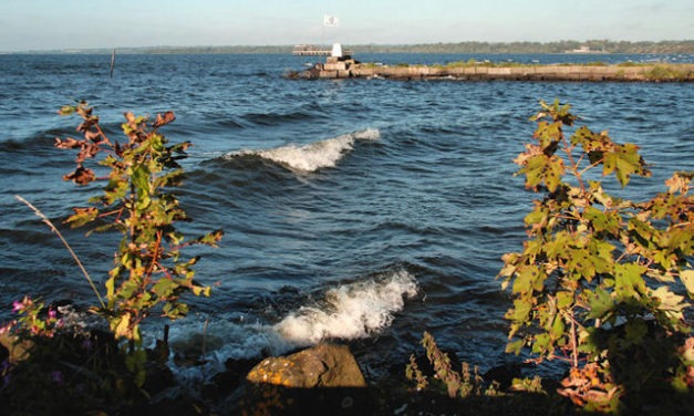 Lough Neagh, Northern Ireland<input type="hidden" class="is-post-family-safe" value="true">