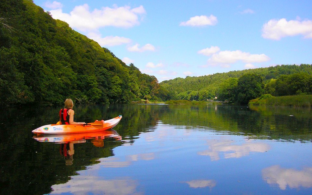 Lopwell Dam, Lopwell Wood, Devon<input type="hidden" class="is-post-family-safe" value="true">