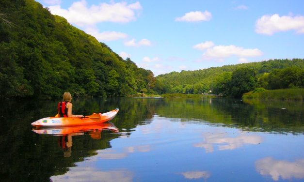 Lopwell Dam, Lopwell Wood, Devon<input type="hidden" class="is-post-family-safe" value="true">