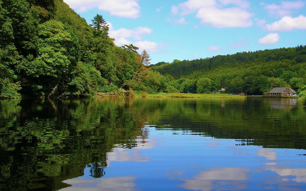 Lopwell Dam, Lopwell Wood, Devon<input type="hidden" class="is-post-family-safe" value="true">
