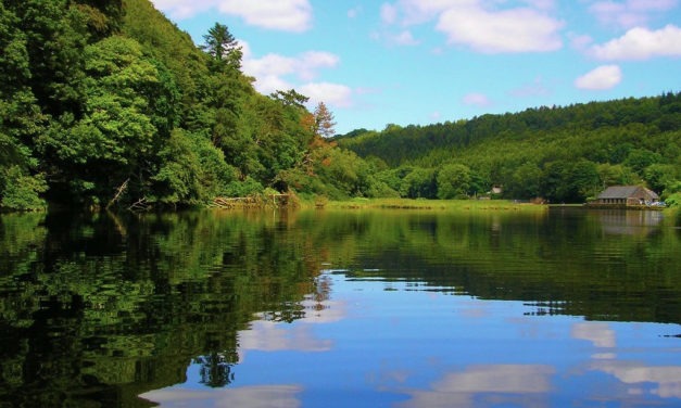 Lopwell Dam, Lopwell Wood, Devon<input type="hidden" class="is-post-family-safe" value="true">