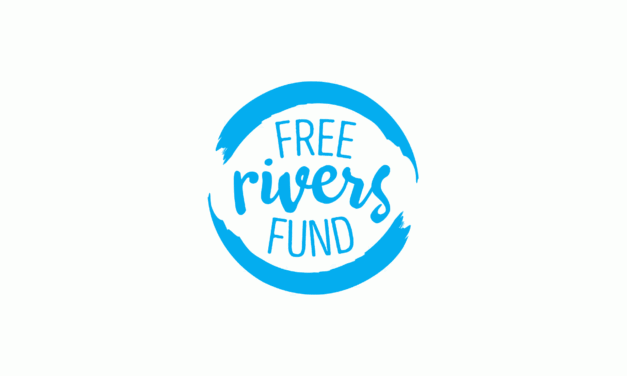 Palm supports the Free Rivers Fund<input type="hidden" class="is-post-family-safe" value="true">