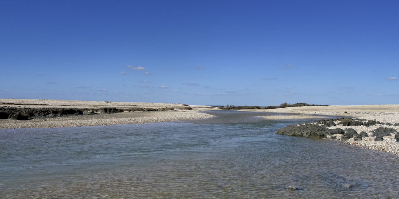 Selsey, West Sussex<input type="hidden" class="is-post-family-safe" value="true">