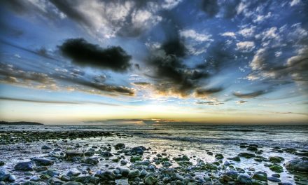 Aberafon, Gwynedd<input type="hidden" class="is-post-family-safe" value="true">