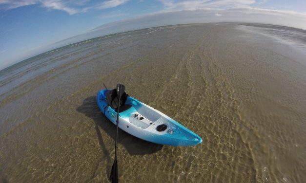 Perception Scooter<input type="hidden" class="is-post-family-safe" value="true">