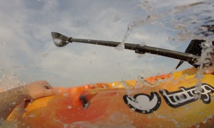 Tootega Kinetic 100<input type="hidden" class="is-post-family-safe" value="true">