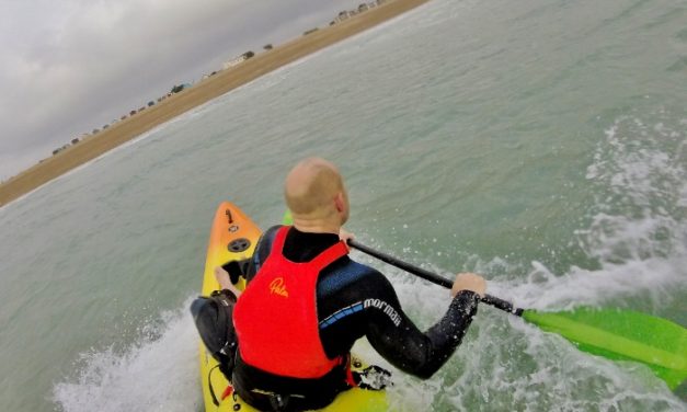 Perception Five-o<input type="hidden" class="is-post-family-safe" value="true">