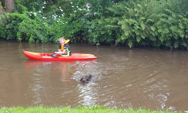 Teaching your kids to kayak – tips for a smooth ride<input type="hidden" class="is-post-family-safe" value="true">