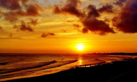 The weather game – interpreting forecasts for your local spot<input type="hidden" class="is-post-family-safe" value="true">