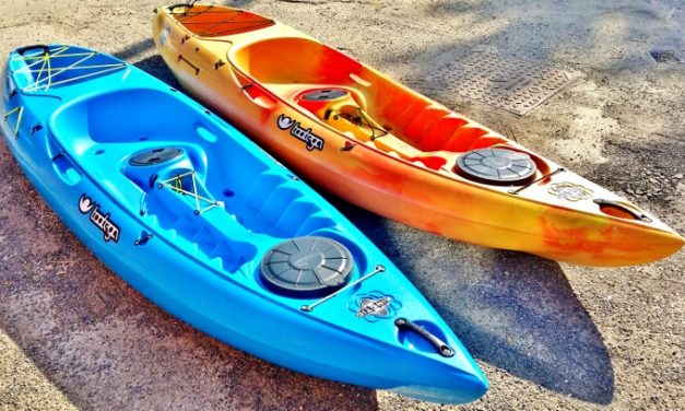 Food for thought – choosing the correct kayak<input type="hidden" class="is-post-family-safe" value="true">