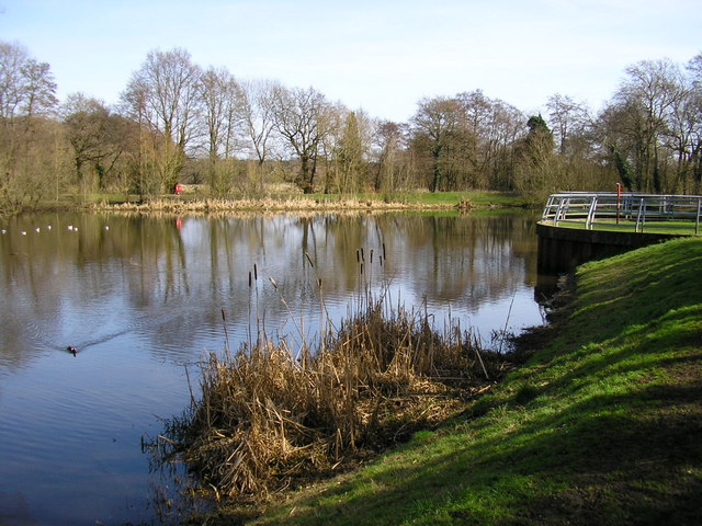 Horseshoe Lake, Hampshire<input type="hidden" class="is-post-family-safe" value="true">