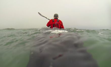 What is the problem with cheap kayaks?<input type="hidden" class="is-post-family-safe" value="true">