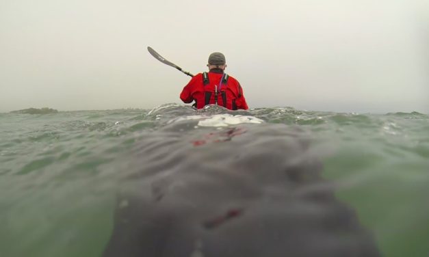 What is the problem with cheap kayaks?<input type="hidden" class="is-post-family-safe" value="true">