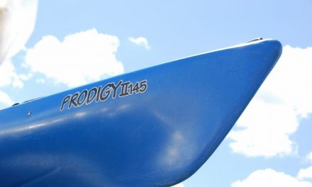 Perception Prodigy II<input type="hidden" class="is-post-family-safe" value="true">