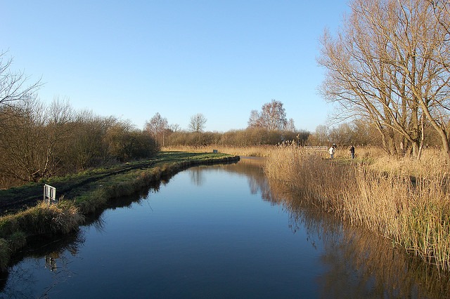 Reach Lode – Wicken Fen, Cambridgeshire<input type="hidden" class="is-post-family-safe" value="true">