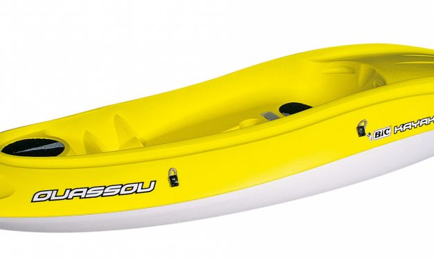 BIC Ouassou<input type="hidden" class="is-post-family-safe" value="true">