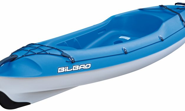 BIC Bilbao<input type="hidden" class="is-post-family-safe" value="true">