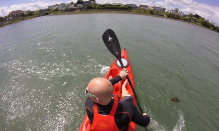 GoPro Session & Hero Black comparison<input type="hidden" class="is-post-family-safe" value="true">