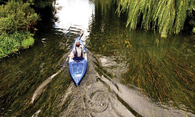 Tootega Prophecy 135<input type="hidden" class="is-post-family-safe" value="true">