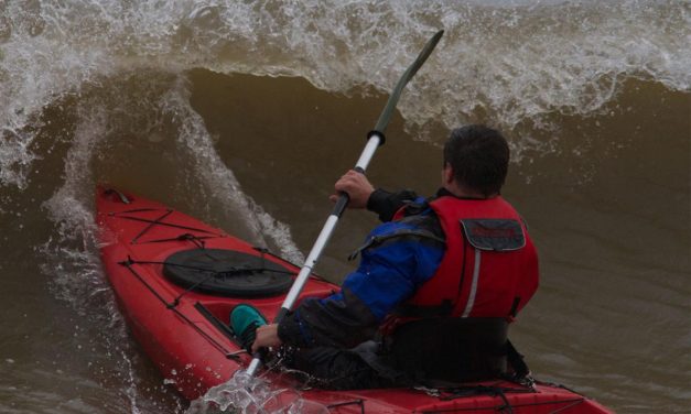 Tootega Prophecy 135<input type="hidden" class="is-post-family-safe" value="true">