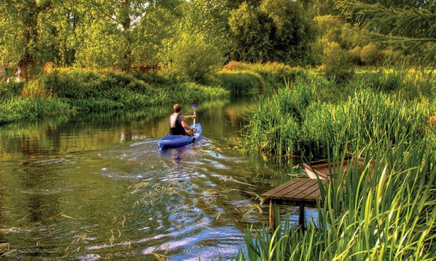 Tootega Prophecy 135<input type="hidden" class="is-post-family-safe" value="true">