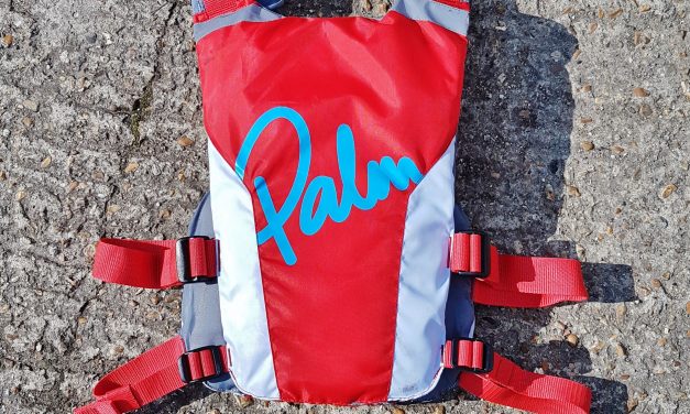 Palm Dragon BA Video Review<input type="hidden" class="is-post-family-safe" value="true">