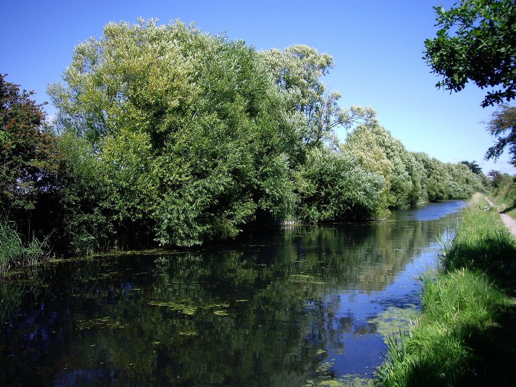 Chichester Canal